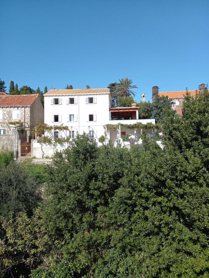 Villa Sea Dream Kolocep Gornje Celo Exterior foto