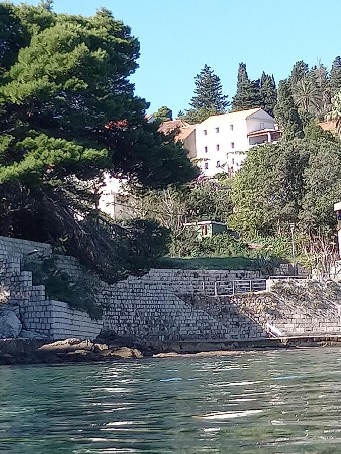 Villa Sea Dream Kolocep Gornje Celo Exterior foto